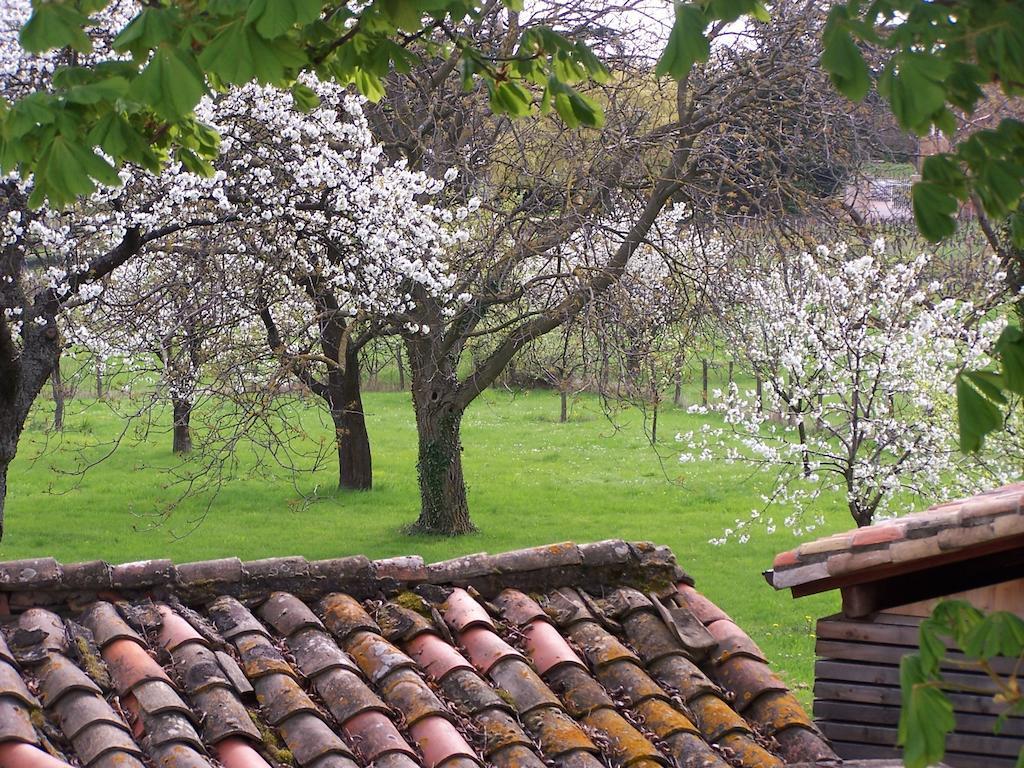 Clos De Pomeir Konuk evi Pommiers  Dış mekan fotoğraf
